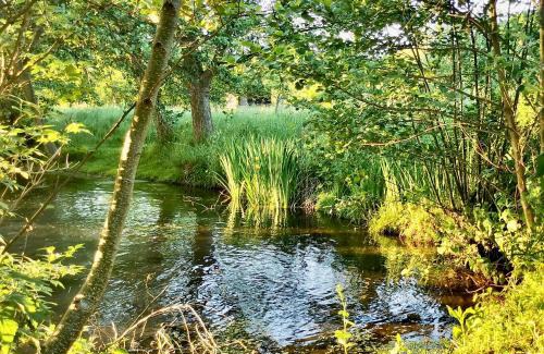 Morville-sur-Andelle House | Gîte de l'Ecrin de l'Andelle - Un écrin de nature entre rivière et forêt