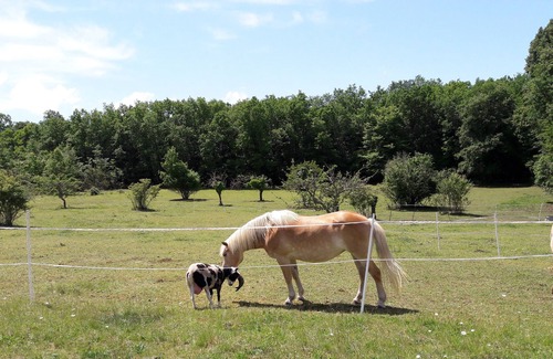 Brantome-en-Perigord House | Gîte de la Roque Swimming pool Animals Activities Brantome in Périgord on foot
