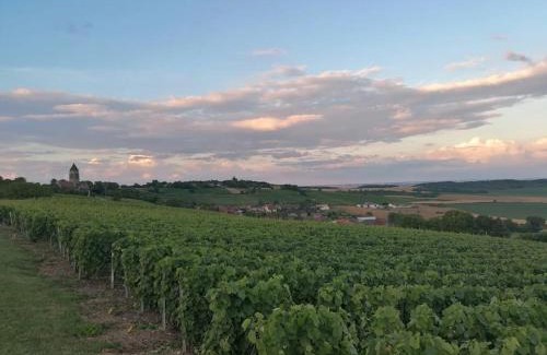 Allemant House | Gîte de la traverse, 2 à 6 personnes