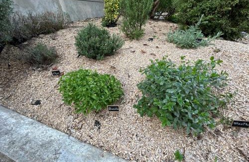 Sezanne Apartment | Gîte des Coteaux Sézannais