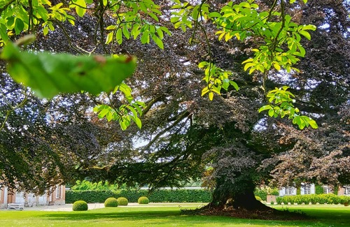 Cottevrard House | Gîte du Domaine de Grosmesnil