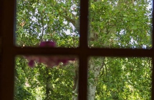 Belis House | Gîte du Platane - Belis