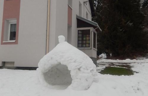 Cornimont House | Gîte en pleine nature, proche de La Bresse avec activités familiales, terrasse et poêle à bois - FR-1-589-70