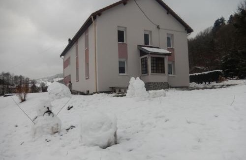 Cornimont House | Gîte en pleine nature, proche de La Bresse avec activités familiales, terrasse et poêle à bois - FR-1-589-70