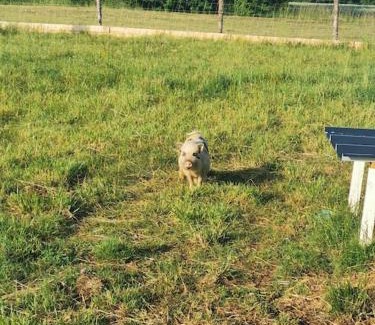 Charras House | Gîte familial à charras (3 étoiles)