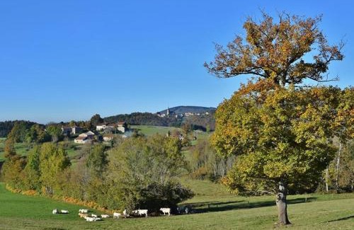 La Chabanne House | Gîte familial à La Chabanne, 12-14 pers, animaux acceptés, jardin partagé - FR-1-489-340
