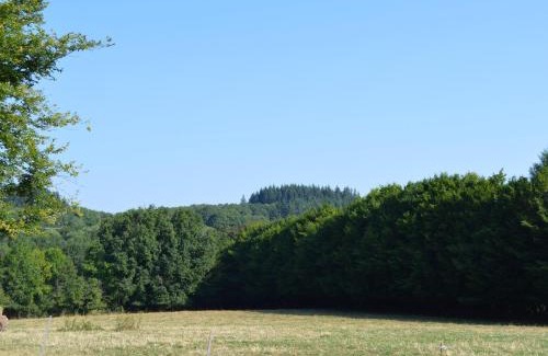 Pouligny-Notre-Dame House | Gîte familial au calme avec grand jardin, balnéo et loisirs nautiques à proximité - FR-1-591-134