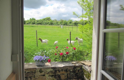 Tournus Cottage | Gîte in French Historic Wine Farm