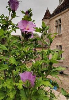 Perche-en-Noce House | Gîte l'Echauguette du Perche