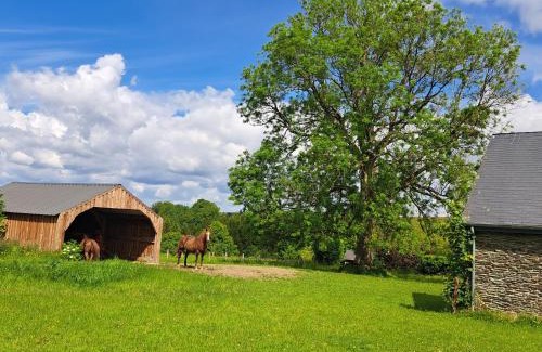 Engreux House | Gîte L'Olivier à Filly - Nadrin, entre Houffalize et La Roche-en-Ardenne