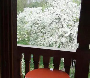 Triembach-au-Val House | Gîte Les Cerisiers