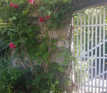 Riviere-sur-Tarn Apartment | Gîte Les Gorges du Tarn