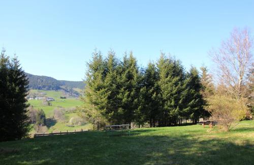 Le Bonhomme Apartment | Gîte Les Jonquilles