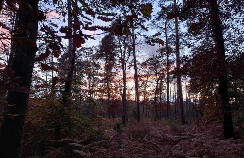 Veneux-les-Sablons House | Gîte les petites bruyères