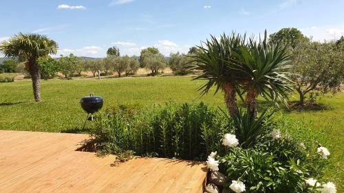 La Brillanne House | Gîte les Syrphes