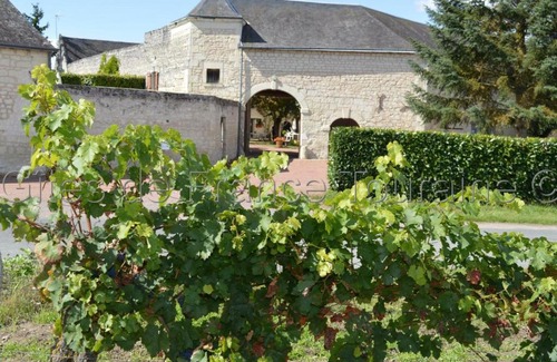 Ligre House | Gîte Ligré, 8 pièces, 15 personnes - FR-1-381-129