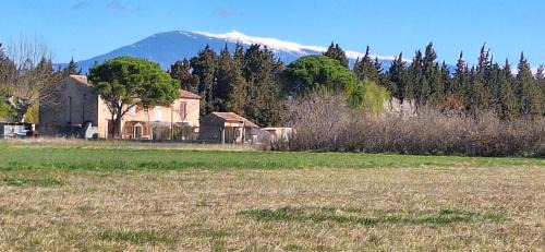 Monteux House | Gîte Mas de la Restanque