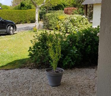 Carnac House | Gîte mon plaisir