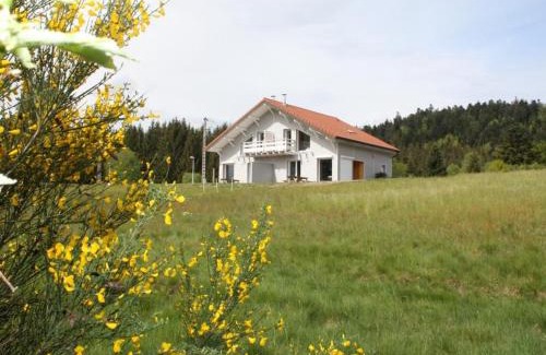 Le Tholy House | Gîte neuf au calme près de Gérardmer avec terrasse et balades en forêt - FR-1-589-217