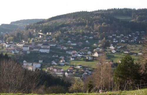 Le Tholy House | Gîte neuf au calme près de Gérardmer avec terrasse et balades en forêt - FR-1-589-217