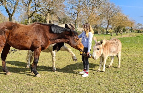 Plouha House | Gîte Régate - Gîtes du Goëlo