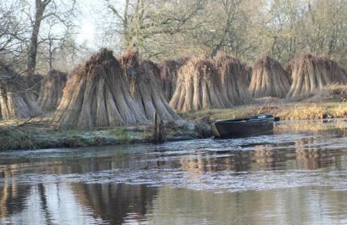 Saint-Lyphard House | Gîte rénové avec jardin privé, proche de la Baule et Guérande, idéal pour 4 personnes. - FR-1-306-1163