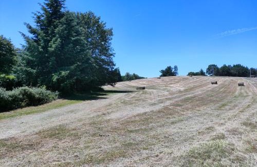 Sarge-les-le-Mans House | Gîte "Rêves de Gamins", proche du pôle Européen et du circuit des 24h