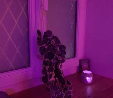 Brain-sur-Longuenee Apartment | Gîte Romantique La Parenthèse Angevine Love&spa