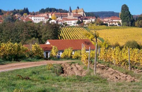 Cremeaux House | Gîte rural avec poêle à bois et visite de ferme à Crémaux - FR-1-496-220
