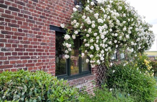 Leuze-en-Hainaut House | Gîte rural Les petites têtes