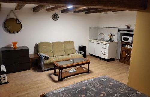 Bar-sur-Aube Apartment | Gîte Studio Alex 3 Masson de Morfontaine rez de chaussé