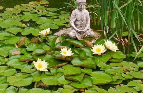 Feings House | Gîte tout confort avec grand jardin, cheminée, clim et WIFI, proche châteaux de la Loire et ZooParc de Beauval - FR-1-491-400