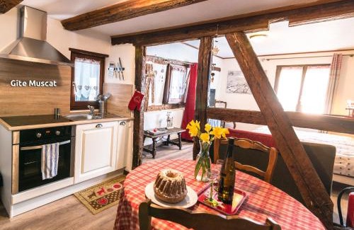 Ribeauville House | Gîtes de la Maison Vigneronne, au Coeur de Ribeauvillé