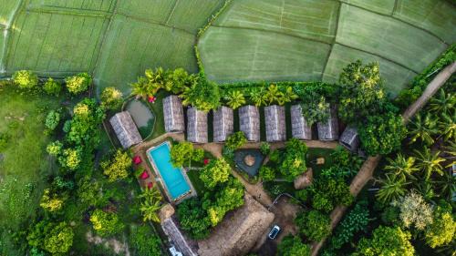 Yodakandiya Ski Chalet | Gaga Bees Yala