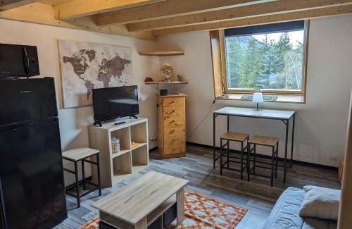 La Salle-les-Alpes Apartment | Galibier studio
