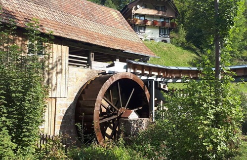 Oberharmersbach Other | Gallushof Comfortable holiday residence