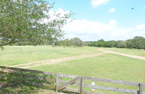 Flatonia Cottage | Gander's Down 1 Bedroom Ranch Amazing Cottage