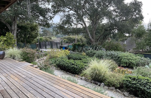 Stinson Beach Apartment | Garden apt. above the beach close to hiking trails and beach.