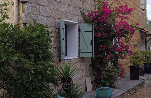 Serra-di-Ferro House | Garden level for rent in house.