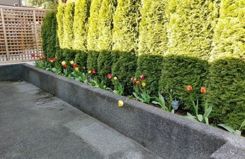 Saanich House | Garden suite near wineries & gardens