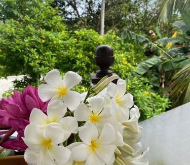 Mirissa House | Garden View Mirissa