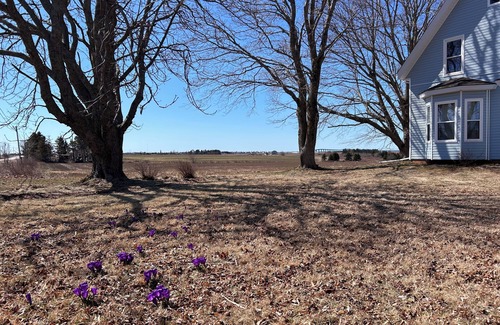 Borden-Carleton Apartment | Garden View near Conferation Bridge and beaches