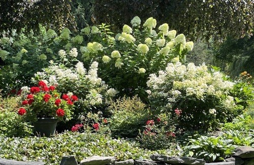 Charlotte Apartment | Gardner Residence and Gardens