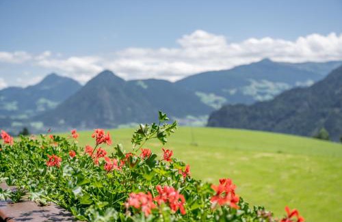 Jenbach House | Gasthof und Hotel Rieder GmbH