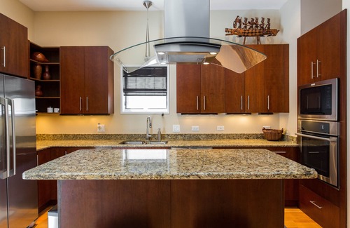 Lake Meadows House | Gather, relax, enjoy— in chic luxury home near Lake Michigan & McCormick Center