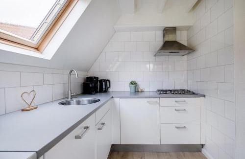 Zwiggelte House | Gele Kwikstaart I Ruime Woning met Mooie Zonnige Tuin