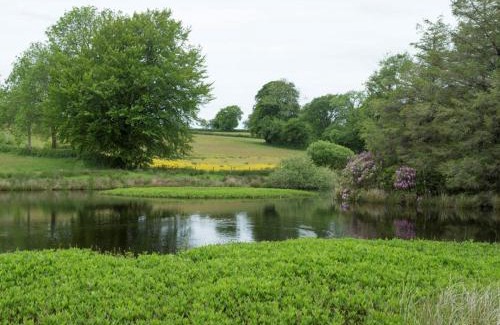 Bontnewydd House | Gelli Hir
