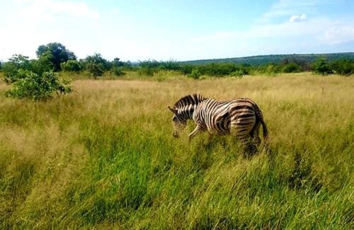 Hammanskraal Cabin | Geluksfontein Private Game Farm