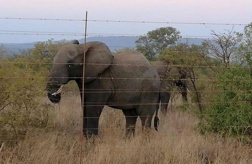 Hammanskraal Cabin | Geluksfontein Private Game Farm