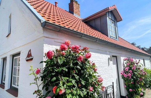 Maasholm Apartment | Gemütliche Studiowohnung, Erdgeschoss, 200m zur Schlei